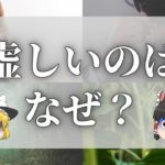 【スピリチュアル】虚しいのは魂が苦しんでいるから【ゆっくり解説】