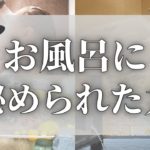 【スピリチュアル】お風呂に秘められたスピリチュアルな力とは？【ゆっくり解説】