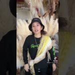 激アツ地域#ユタ #ゆーうがみさー #直感コンサルタント #スピリチュアル #占い #霊視  #沖縄