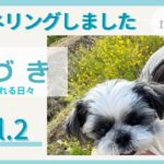 【超スピリチュアル】気づくことで自分の心の変化が起こりました。大切にされる喜びと望む現実が手に入ります。