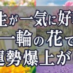 【スピリチュアル】どんなに運勢が悪くても、一輪の花で今すぐに運気を底上げ出来る驚きの花パワー【ゆっくり解説】