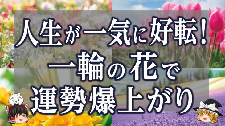 【スピリチュアル】どんなに運勢が悪くても、一輪の花で今すぐに運気を底上げ出来る驚きの花パワー【ゆっくり解説】