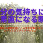 「癒し＆人生活性化14DaysレッスンVol.５」【朝活瞑想で人生好転】★DAY7★自分の気持ちに素直になる瞑想名