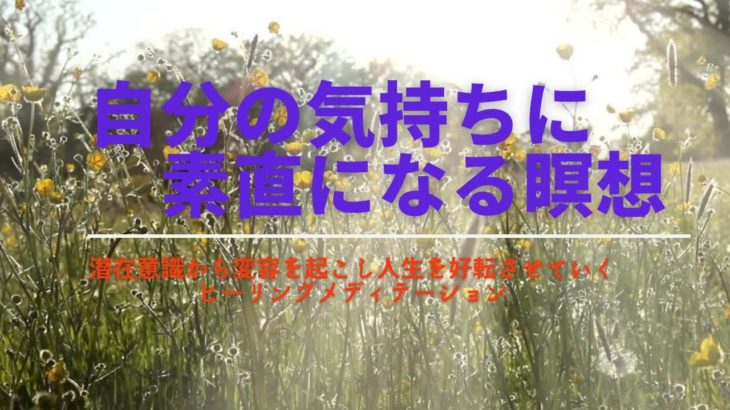 「癒し＆人生活性化14DaysレッスンVol.５」【朝活瞑想で人生好転】★DAY7★自分の気持ちに素直になる瞑想名
