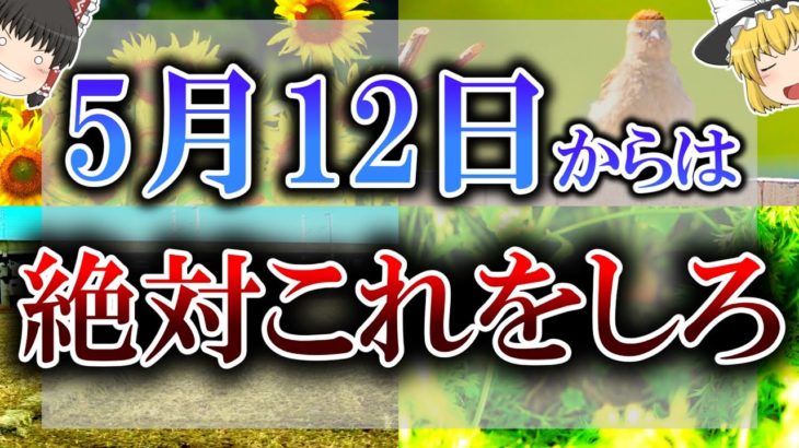 【ゆっくり解説】本日から15日までは良い運気を蓄えるための準備期間です！この期間は絶対にこの”超開運アクション”をしてください！【蚯蚓出】