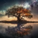 心地よい深い眠りの音楽 ★ 心を落ち着かせる瞑想 ヒーリング 741Hz ★ スピリチュアルな癒しのアンビエントミュージック