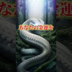 LINEともだち追加はコメント欄から⛩✨  #スピリチュアル #金運 #開運