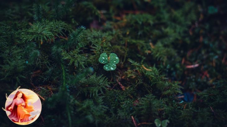 【草木に滴る雨音】瞑想・癒し・熟睡。窓を開けると聴こえてくるヒーリング音楽【The sound of rain dripping on the plants】