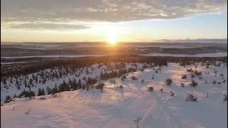 癒しのストリングス音楽