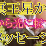 冥王星から光に転ずるメッセージ✴️スピリチュアルタロット