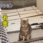 スピリチュアルと赤いところは繋がってるのかも知れない