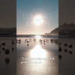 “I embrace self-care and prioritize my well-being.” #luminosynth