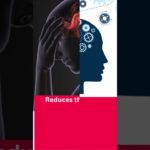 Push Up Benefits for Mental Health and Well Being