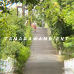 ［5分 瞑想］［癒し］川沿いの朝 やさしい時間