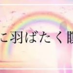 【空に羽ばたく瞑想】癒し、ヒーリング、528Hz、クリスタルボール、誘導瞑想、睡眠、深い眠り、睡眠誘導