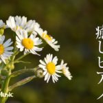 春の夕方BGM【ピアノ癒し曲】温かい疲労回復・瞑想音楽 #61