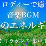 光のエネルギー 睡眠用BGM 瞑想 ヨガ 集中力 疲労回復に効く音楽BGM  寝る前に聴くと超熟睡できる 朝の目覚めスッキリ 勉強に集中 疲れが取れる 室内 睡眠 リラックス 成長ホルモン 快眠 読書