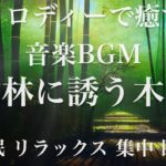 竹林に誘う木道 睡眠用BGM 瞑想 ヨガ 集中力 疲労回復に効く音楽BGM  寝る前に聴くと超熟睡できる 朝の目覚めスッキリ 勉強に集中 疲れが取れる 室内 睡眠 リラックス 成長ホルモン 快眠 読書