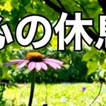 【癒しBGM】不安やストレス解消のためのヒーリングミュージック、自律神経を整え心が落ち着くリラックス音楽/睡眠用・作業用・勉強用BGM