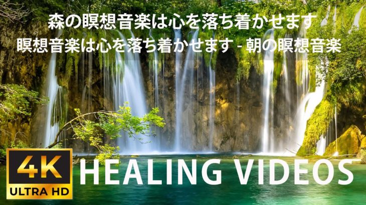 頭が澄んでいる森の中の癒し音楽️🎶頭が澄んでいる音楽 – 頭が澄んでいる朝の森の中のピアノの音楽 – 朝の瞑想音楽 – Clear Head Music – Meditation Music