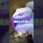 LINEともだち追加はコメント欄から⛩✨  #スピリチュアル #金運 #開運