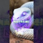 LINEともだち追加はコメント欄から⛩✨  #スピリチュアル #金運 #開運