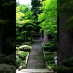 【Meditation music, 30s】Eiheiji Temple.【朝の瞑想。30秒間】永平寺。
