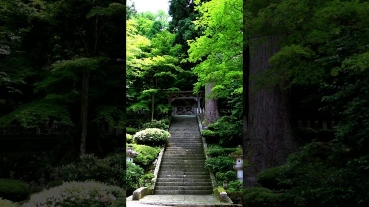 【Meditation music, 30s】Eiheiji Temple.【朝の瞑想。30秒間】永平寺。