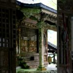 【Meditation music, 30s】Eiheiji, beyond time.【朝の瞑想。30秒間】永平寺、時をこえて。