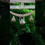 【Meditation music, 30s】symbolic meaning.【朝の瞑想。30秒間】象徴の意味。