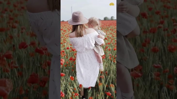 Relaxation Journey Part 6: Enhance Your Mental Health and Well-being #shorts