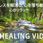 心がリラックスする癒しの音楽 – 瞑想音楽、メラトニン、毒素の放出•ストレスを解消し、心を落ち着かせ、心がリラックスする音楽、頭が澄んでいる音楽 – Relaxing Piano Music