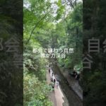 #等々力渓谷【都会で味わう自然】#自然 #リラックス #散歩 #観光 #スピリチュアル#japan #tokyo #travel #nature #relax #spirituality #short