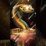 願いをコメントすると効果倍増⛩✨  #スピリチュアル #金運 #開運