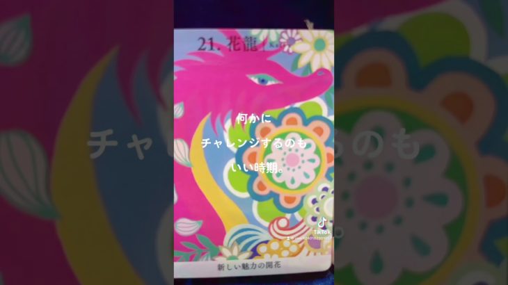#龍神様メッセージ #オラクルカード #スピリチュアル #引き寄せ