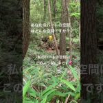 ハートの空間💕 #ワクワク #スピリチュアル #愛と光 #自然 #ショート