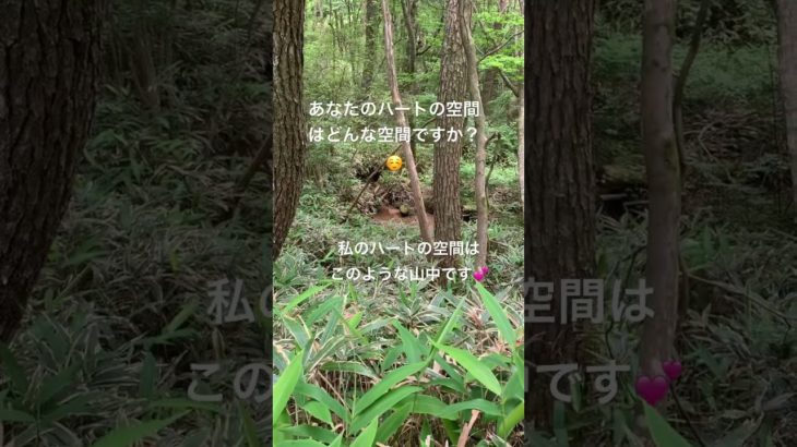 ハートの空間💕 #ワクワク #スピリチュアル #愛と光 #自然 #ショート
