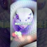 コメントすると願いが叶います⛩✨  #スピリチュアル #金運 #開運