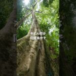 人間を避けたい木も おるねん #スピリチュアル #チャネラー  #スピリチュアルメッセージ