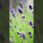 【趣味と好きな事】カメラとスピリチュアル🌈✨