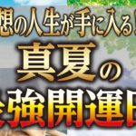 【スピリチュアル】ライオンズゲート期間中に起きる最強開運日！フィーバータイムで理想の人生が手に入る【ゆっくり解説】