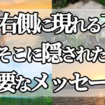 【スピリチュアル】体の右側だけに不調がある・怪我・痛みに現れる魂のサイン！体調不良のスピリチュアル的な意味とは？！【ゆっくり解説】【スピリチュアル】