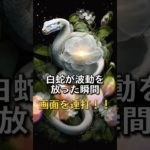 願いをコメントすると効果倍増⛩✨  #スピリチュアル #金運 #開運