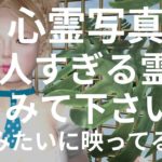 【心霊写真】美人すぎる幽霊を見て下さい【スピリチュアル】