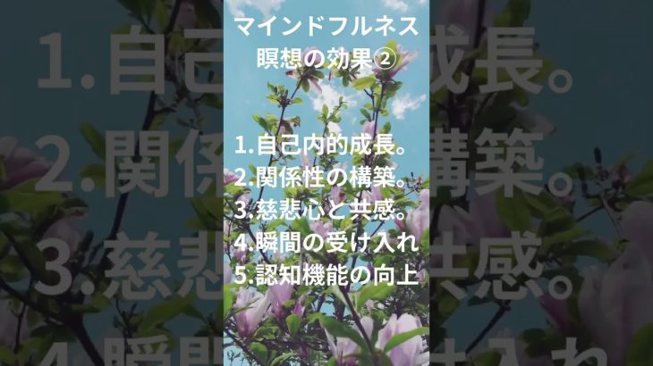 マインドフルネス瞑想のメリット②人それぞれ感じ方は違いますがやってみて損なし。 #呼吸 #ヨガ #ヒーリング #信じる #嬉しい #スピリチャル #嬉しい事 #癒し #幸 #マインドフルネス