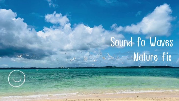 【癒し音楽】波の音・海・優しいピアノ・瞑想・リラックス・睡眠・創造性