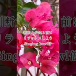 シンギングボウルを聴いてリラックスしよう（倍音/睡眠/瞑想/倍音浴/ヒーリングミュージック/リラクゼーション)