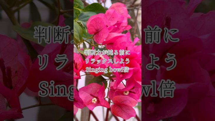 シンギングボウルを聴いてリラックスしよう（倍音/睡眠/瞑想/倍音浴/ヒーリングミュージック/リラクゼーション)