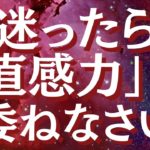 直感力を鍛える方法～人生を変える直感力の使い方～直感力を高め、直感を上手に使う方法とは？～【スピリチュアル】