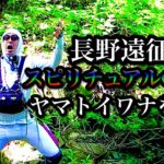 【長野遠征編】スピリチュアルの力で長野のヤマトイワナを釣る【釣り探訪、ツトメンコラボ】